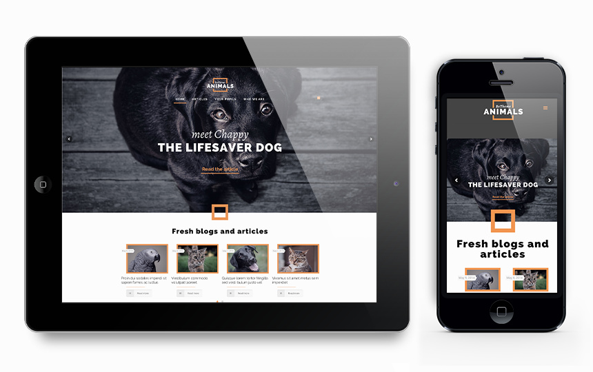 Animals_Responsive_Layout